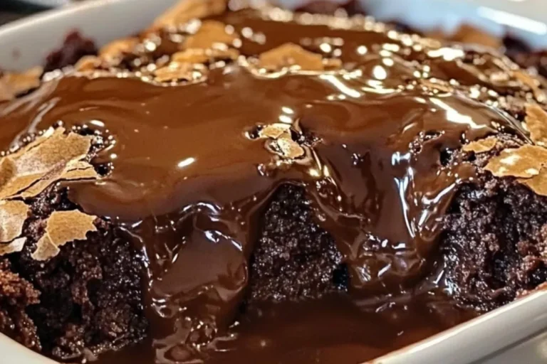 hot fudge brownie pudding cake